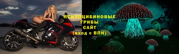 твердый Алзамай