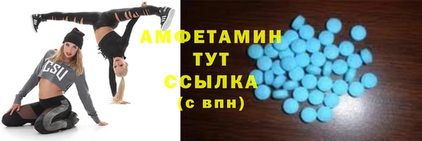 шишки Алексин