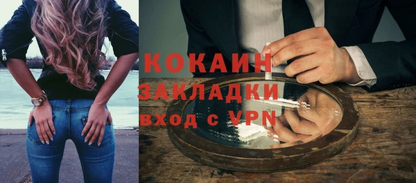 твердый Алзамай