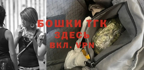 шишки Алексин
