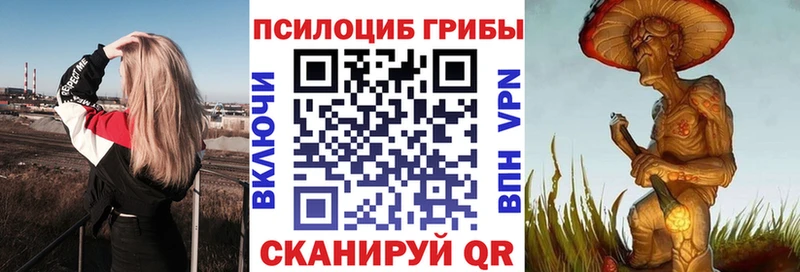 Псилоцибиновые грибы прущие грибы  Суджа 